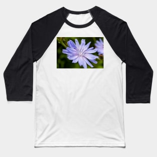 Blue chicory flower Baseball T-Shirt